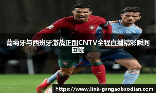 葡萄牙与西班牙激战正酣CNTV全程直播精彩瞬间回顾